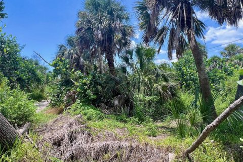 Land in Placida, Florida № 1901139 - photo 3