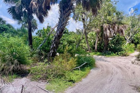 Land in Placida, Florida № 1901139 - photo 2