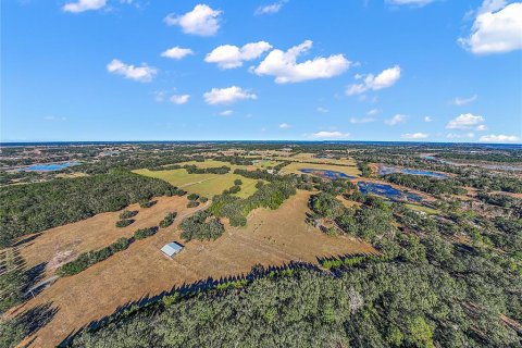 Land in Howey-in-the-Hills, Florida № 1431082 - photo 9