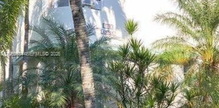 Estudio en Miami Beach, Florida № 2006982