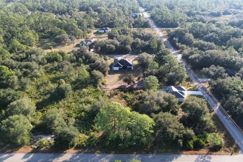 Land in Lehigh Acres, Florida № 2202986 - photo 4