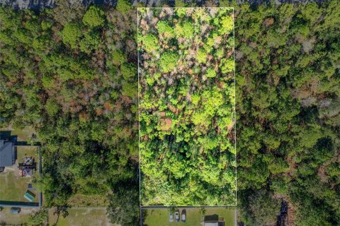 Terreno en venta en Orlando, Florida № 2157486 - foto 2