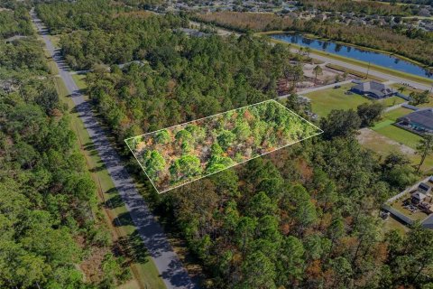 Terreno en venta en Orlando, Florida № 2157486 - foto 5