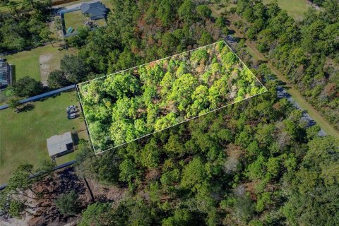 Terreno en venta en Orlando, Florida № 2157486 - foto 4