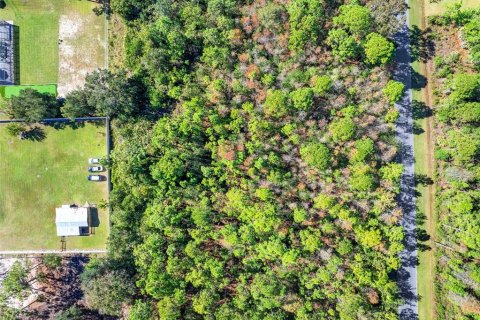 Terreno en venta en Orlando, Florida № 2157486 - foto 7