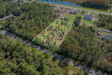 Terreno en venta en Orlando, Florida № 2157486 - foto 3