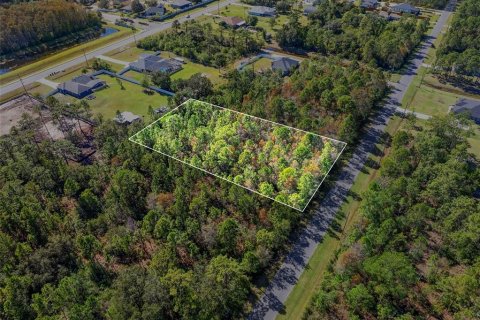Terreno en Orlando, Florida № 2157486