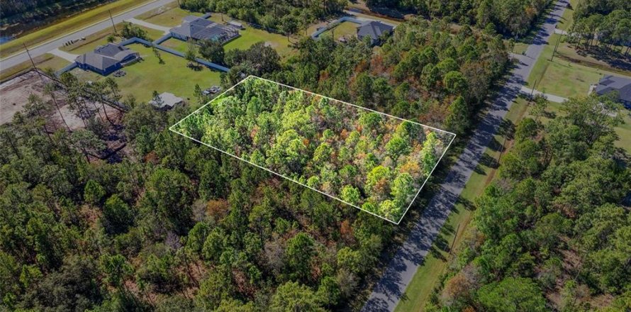 Terreno en Orlando, Florida № 2157486