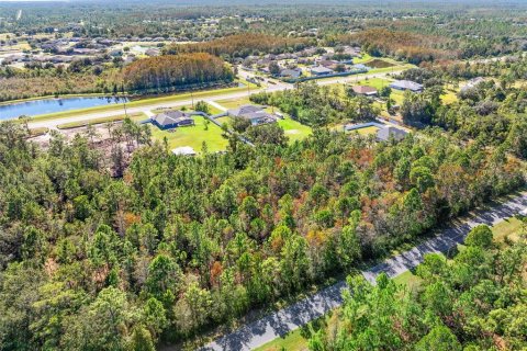 Terreno en venta en Orlando, Florida № 2157486 - foto 8