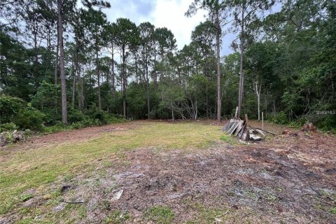 Terrain à New Port Richey, Floride № 2159836