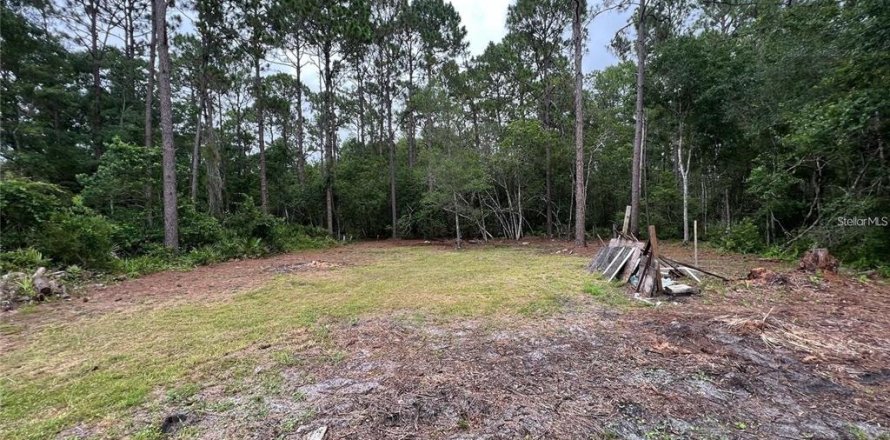 Terrain à New Port Richey, Floride № 2159836