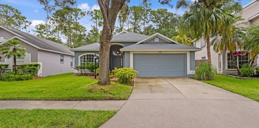 House in Tampa, Florida 5 bedrooms, 217.58 sq.m. № 2345647