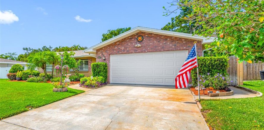 House in Dunedin, Florida 3 bedrooms, 142.88 sq.m. № 1816640