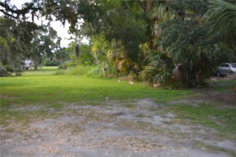 Land in Sanford, Florida № 2161496 - photo 2
