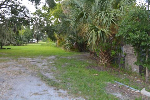 Land in Sanford, Florida № 2161496 - photo 4
