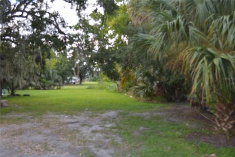 Land in Sanford, Florida № 2161496 - photo 3