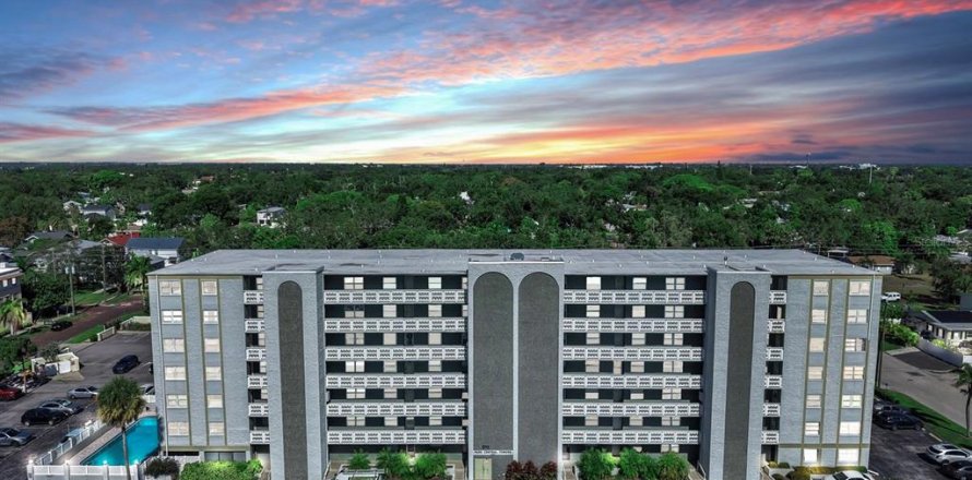 Condo in Saint Petersburg, Florida, 2 bedrooms № 2379135