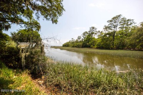 Land in Fernandina Beach, Florida № 765718 - photo 1