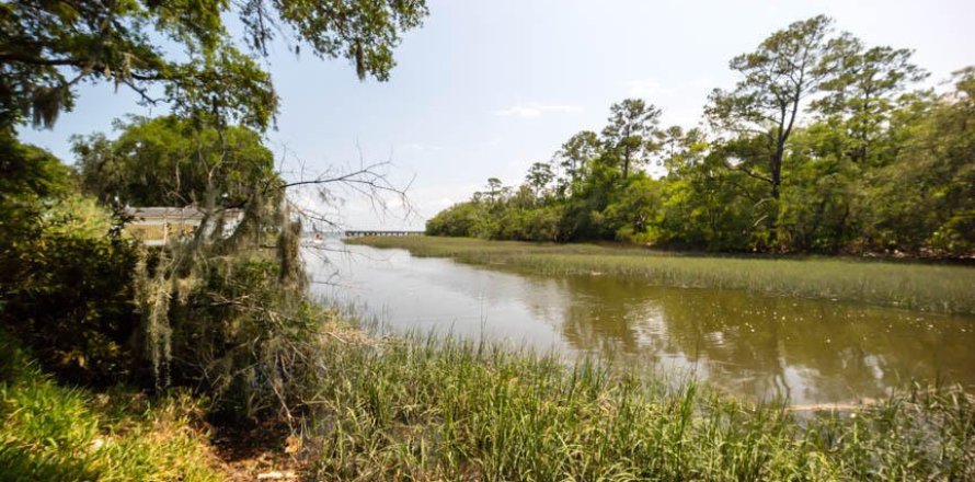 Land in Fernandina Beach, Florida № 765718