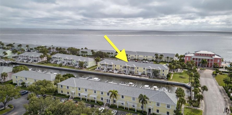 Condo à Saint Petersburg, Floride, 1 chambre  № 2415247
