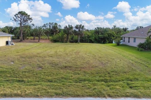 Terreno en venta en Rotonda, Florida № 1561780 - foto 7