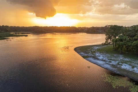 Купить виллу или дом в Лейк-Мэри, Флорида 15 комнат, 721.66м2, № 2349809 - фото 8