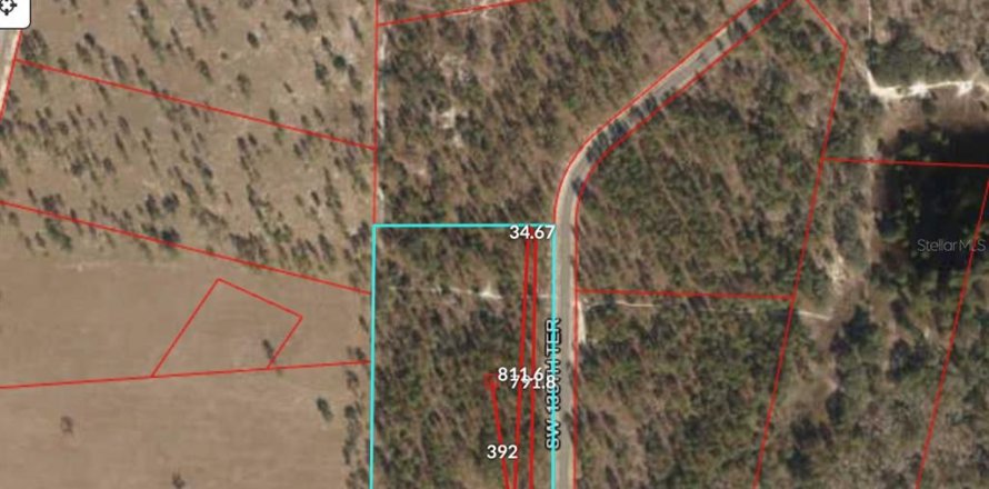 Terreno en Morriston, Florida № 214816