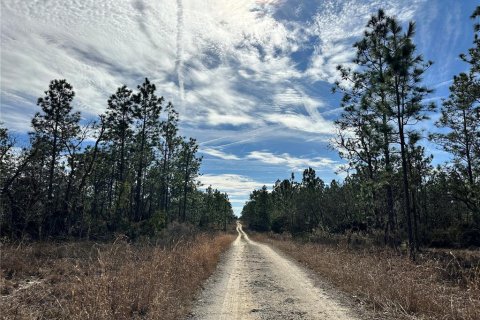 Land in Williston, Florida № 2214974 - photo 4