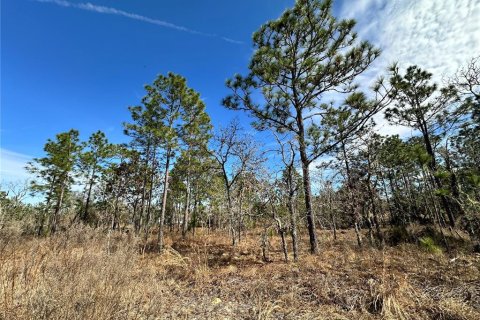 Land in Williston, Florida № 2214974 - photo 3