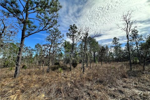 Terreno en Williston, Florida № 2214974