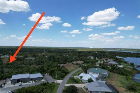 Land in Port Charlotte, Florida № 2205321 - photo 14