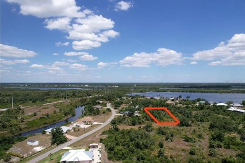 Land in Port Charlotte, Florida № 2205321 - photo 13