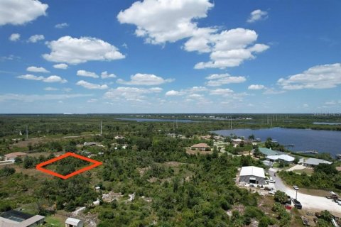 Land in Port Charlotte, Florida № 2205321 - photo 27