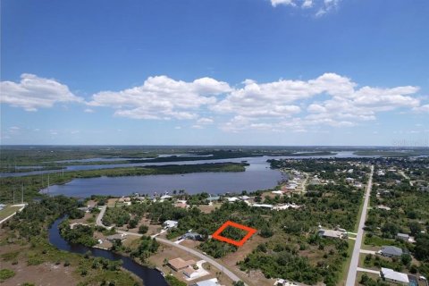 Land in Port Charlotte, Florida № 2205321 - photo 9