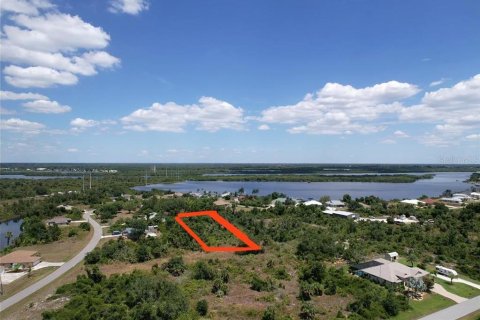 Land in Port Charlotte, Florida № 2205321 - photo 15