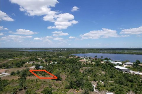 Land in Port Charlotte, Florida № 2205321 - photo 19