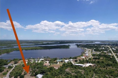 Land in Port Charlotte, Florida № 2205321 - photo 12