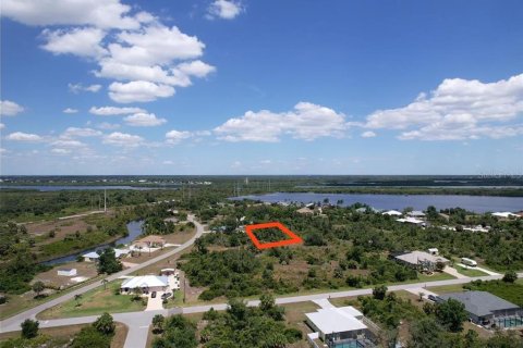 Land in Port Charlotte, Florida № 2205321 - photo 7