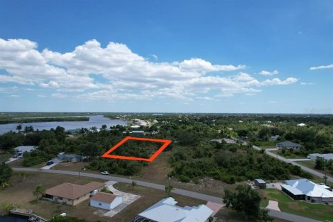 Land in Port Charlotte, Florida № 2205321 - photo 8
