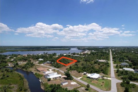 Land in Port Charlotte, Florida № 2205321 - photo 4