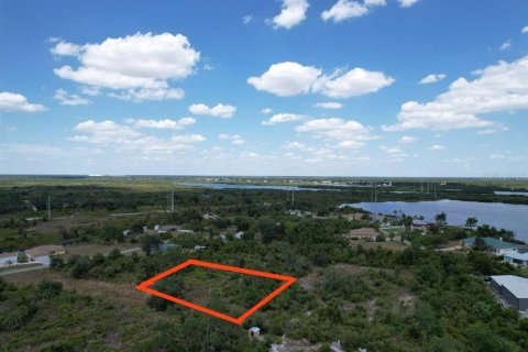 Land in Port Charlotte, Florida № 2205321 - photo 29