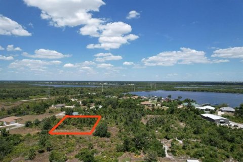 Land in Port Charlotte, Florida № 2205321 - photo 28