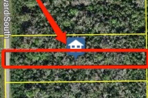 Terrain à Naples, Floride № 2085292