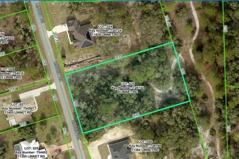 Land in Weeki Wachee, Florida № 1910293 - photo 1