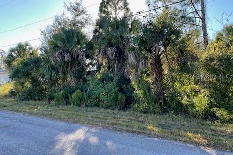 Land in North Port, Florida № 2160639