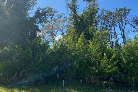 Land in Rotonda, Florida № 2161845