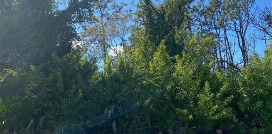 Land in Rotonda, Florida № 2161845