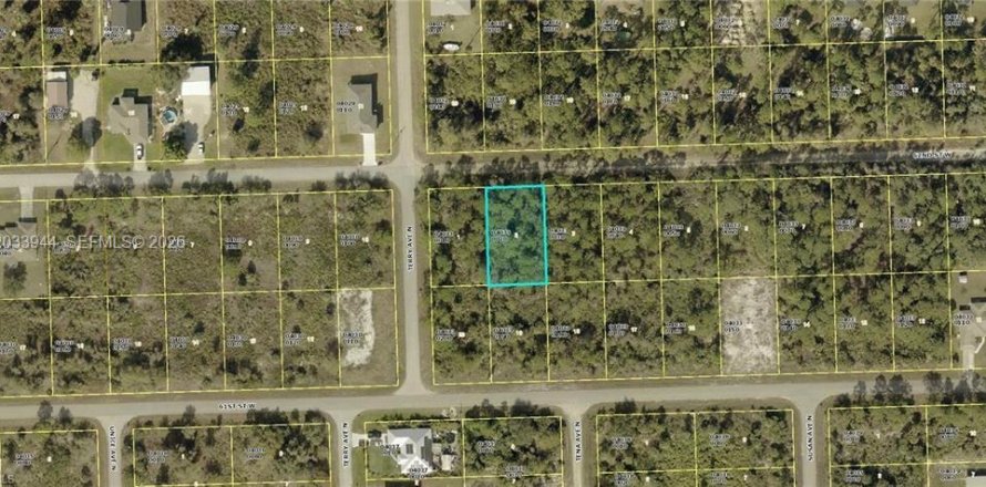 Land in Lehigh Acres, Florida № 2158389