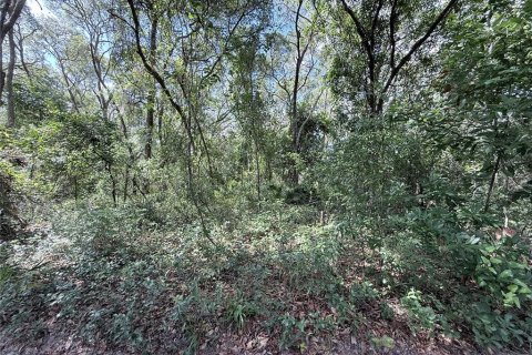 Land in Dunnellon, Florida № 2164619