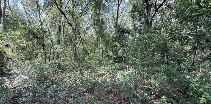 Land in Dunnellon, Florida № 2164619